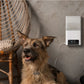PetCube Bites 2 Lite - kamera s poslasticama za kućne ljubimce