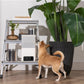 PetCube Bites 2 Lite - kamera s poslasticama za kućne ljubimce