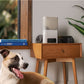 PetCube Bites 2 Lite - kamera s poslasticama za kućne ljubimce