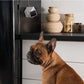 PetCube Cam - nadzorna kamera za kućne ljubimce