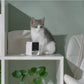 PetCube Cam - nadzorna kamera za kućne ljubimce