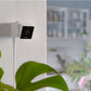 PetCube Cam - nadzorna kamera za kućne ljubimce