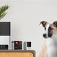 PetCube Cam - nadzorna kamera za kućne ljubimce