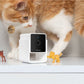 PetCube Cam - nadzorna kamera za kućne ljubimce