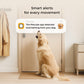 PetCube Cam 360 - nadzorna kamera za kućne ljubimce