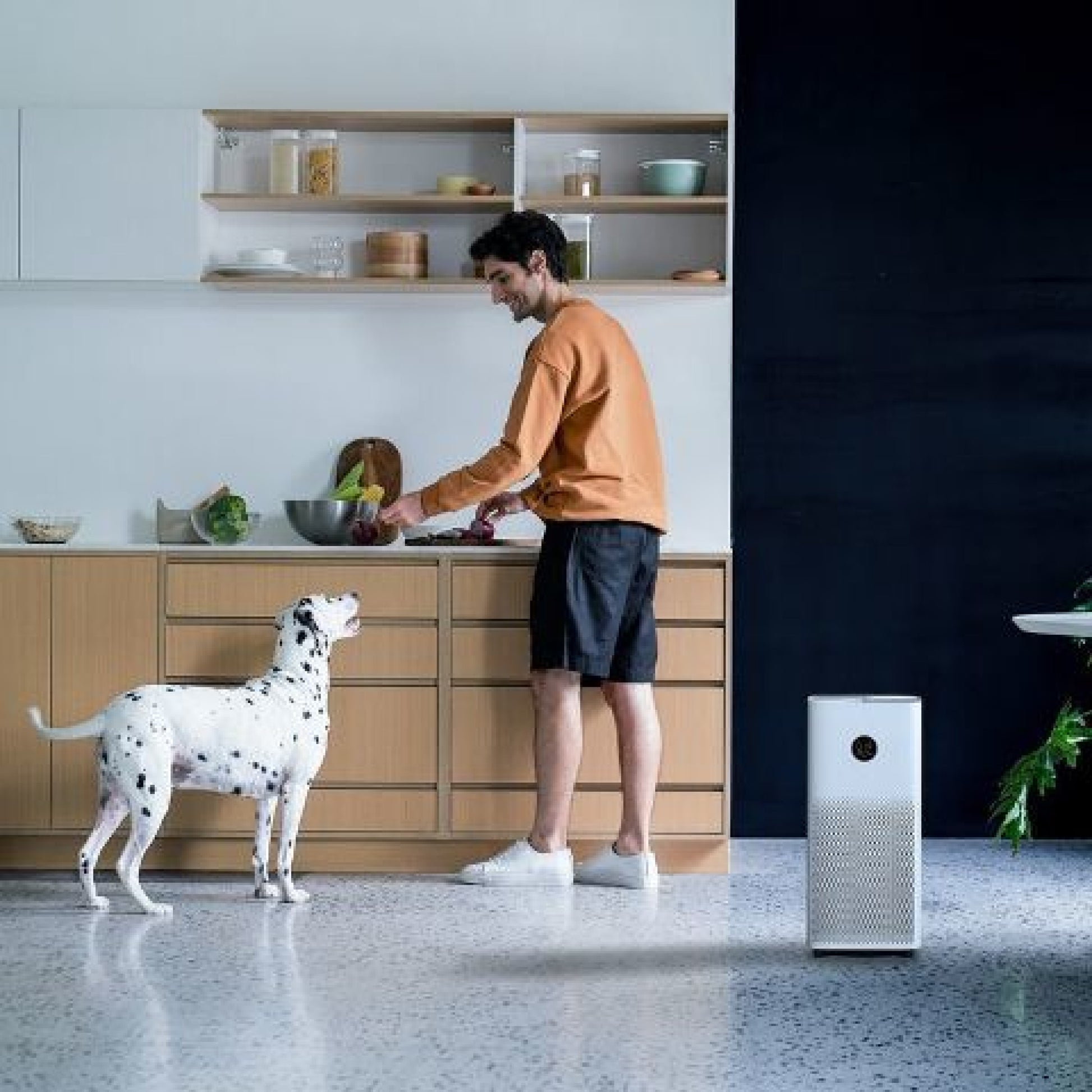 Mi Air Purifier 4 Eu Proiiva Zraka Proiiva