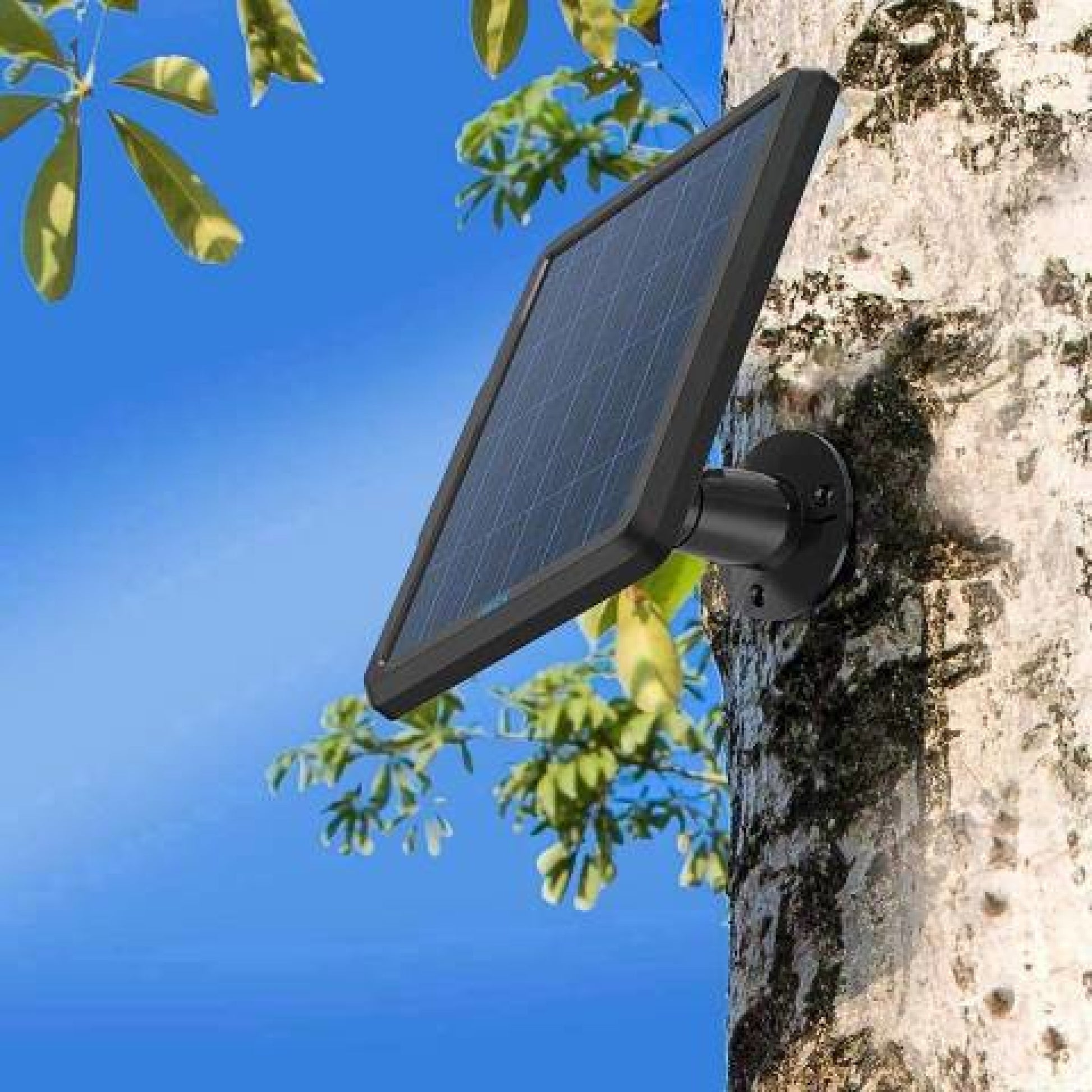 Reolink Solarni Panel Crni Nadzorna Kamera